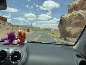 Santa Fe Bear enjoying the trip